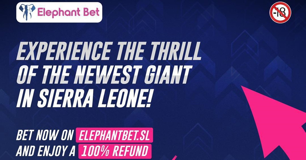 Our Experience With The New Giants in Town “Elephant Bet”
