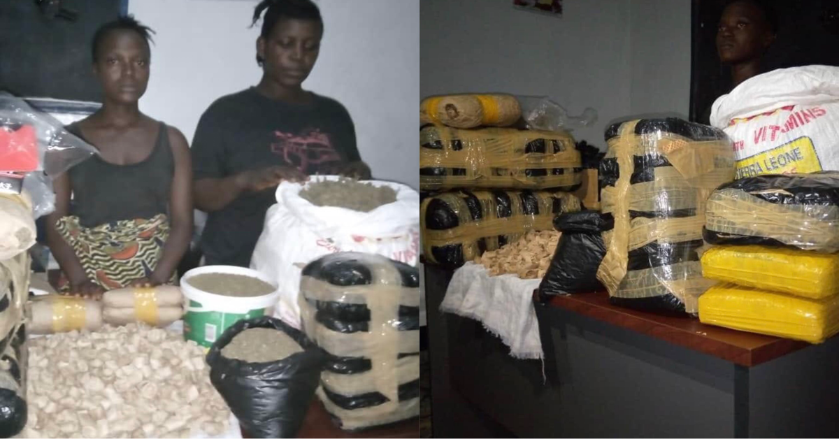 Two Women Arrested in Kambia with Large Quantity of Cannabis Sativa