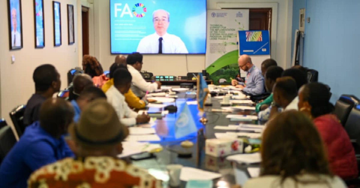 FAO Ends Inception Meeting on Harnessing SDG-Agrifood System in Sierra Leone