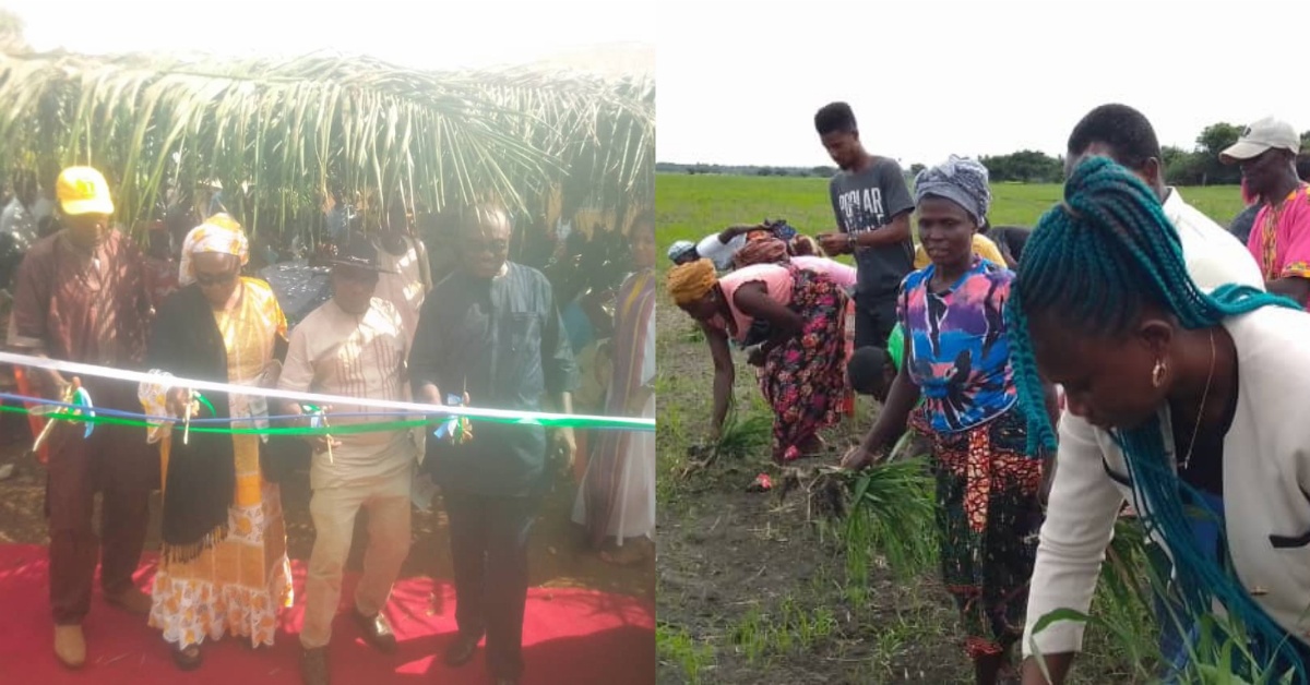 Agriculture Minister Delivers Farming Equipment to Boost Food Security in Pujehun District