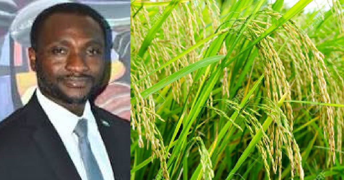 “Feed Salone Project Achieves Notable Decline in Food Imports”- Agriculture Minister