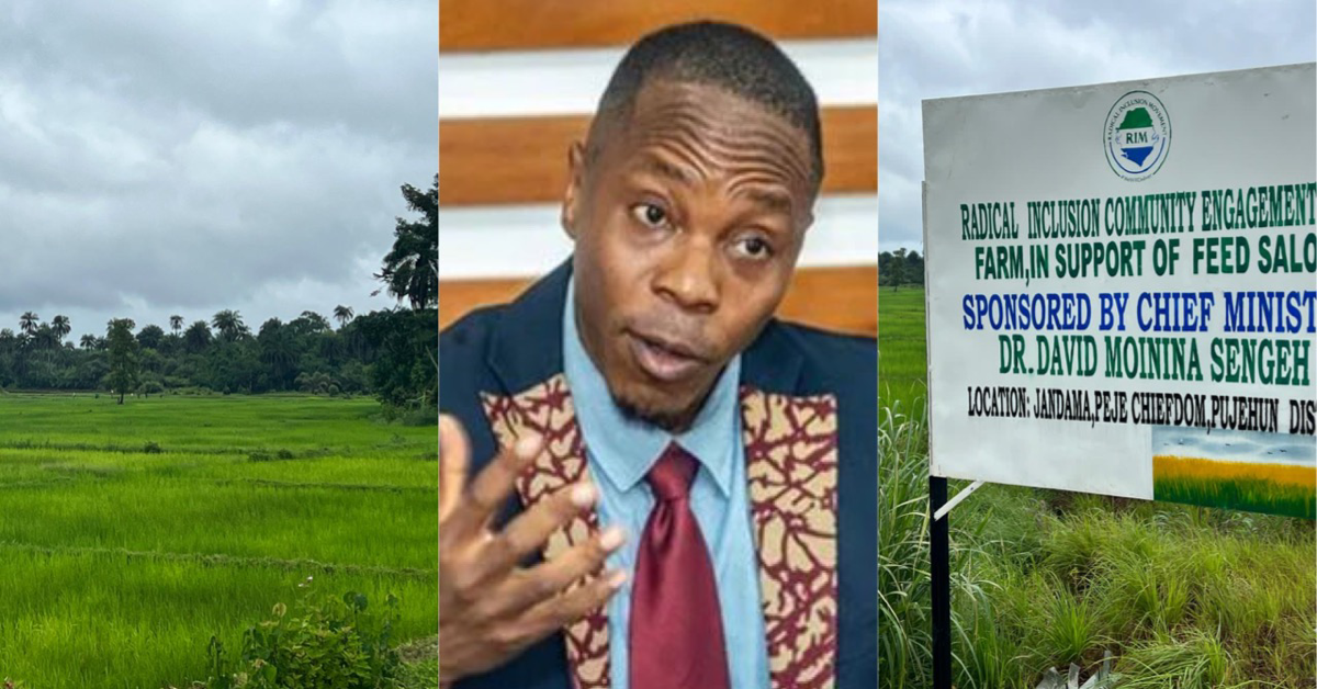 Chief Minister Sengeh Establishes 100-Acre Rice Farm to Boost Food Security in Sierra Leone