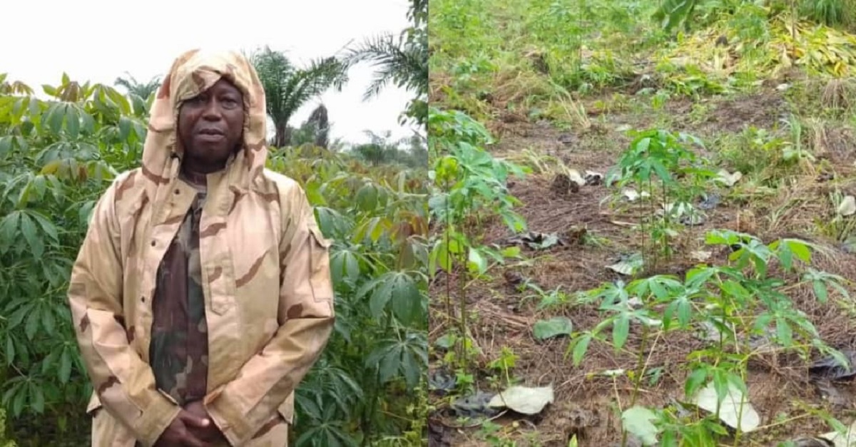 RSLAF Commander Leads Massive Cassava Farming in Pujehun District