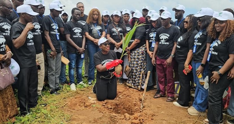 Freetown City Council Distributes 25,000 Trees for Greener City