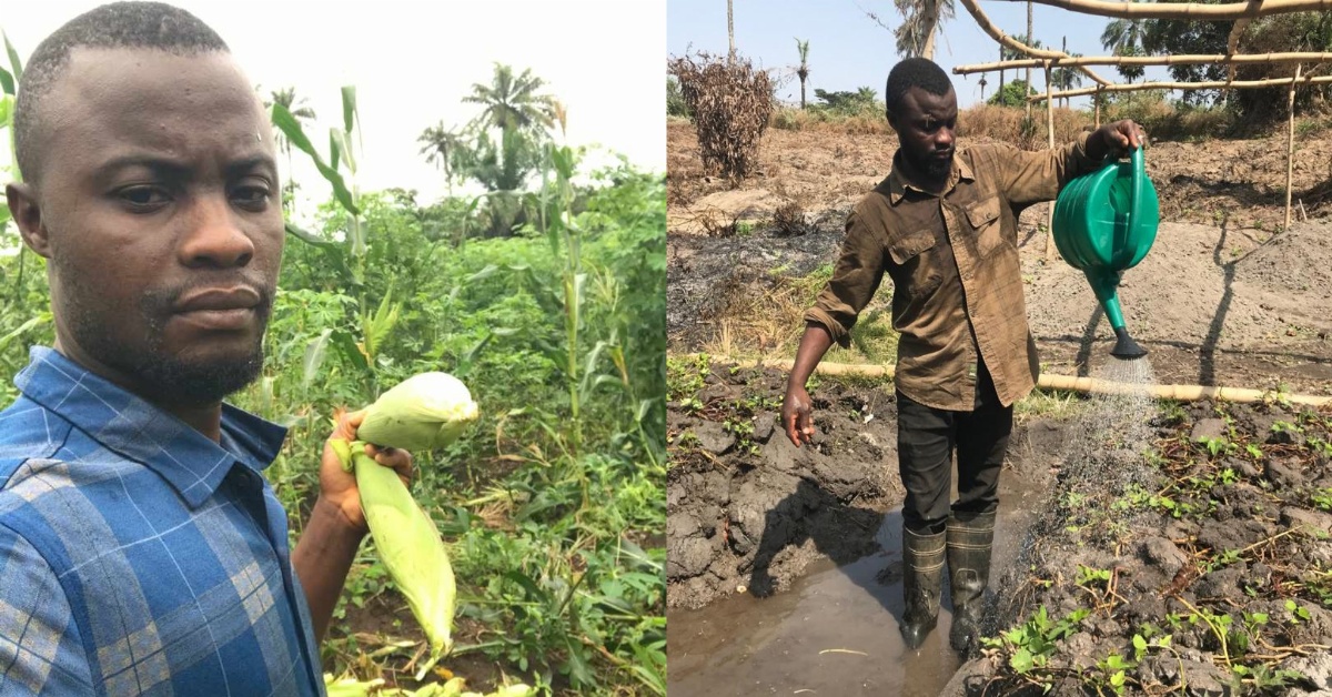 IPAM Final-Year Student Drives Agricultural Revolution in Kono District