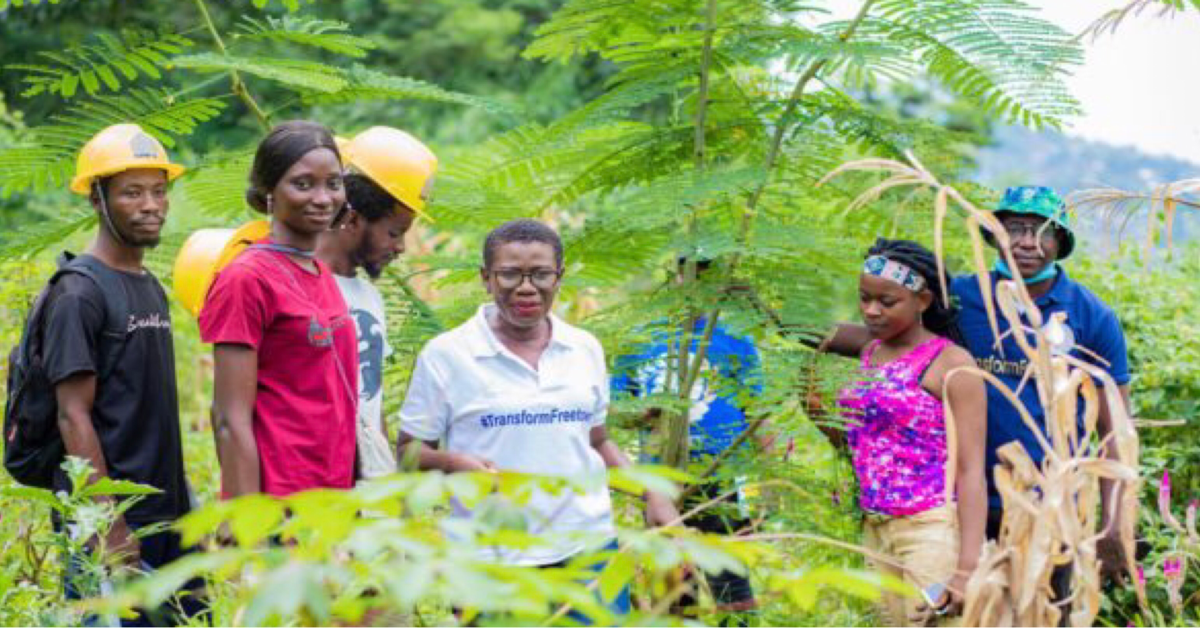 Freetown City Council Distributes 25,000 Tree Saplings to Combat Climate Change