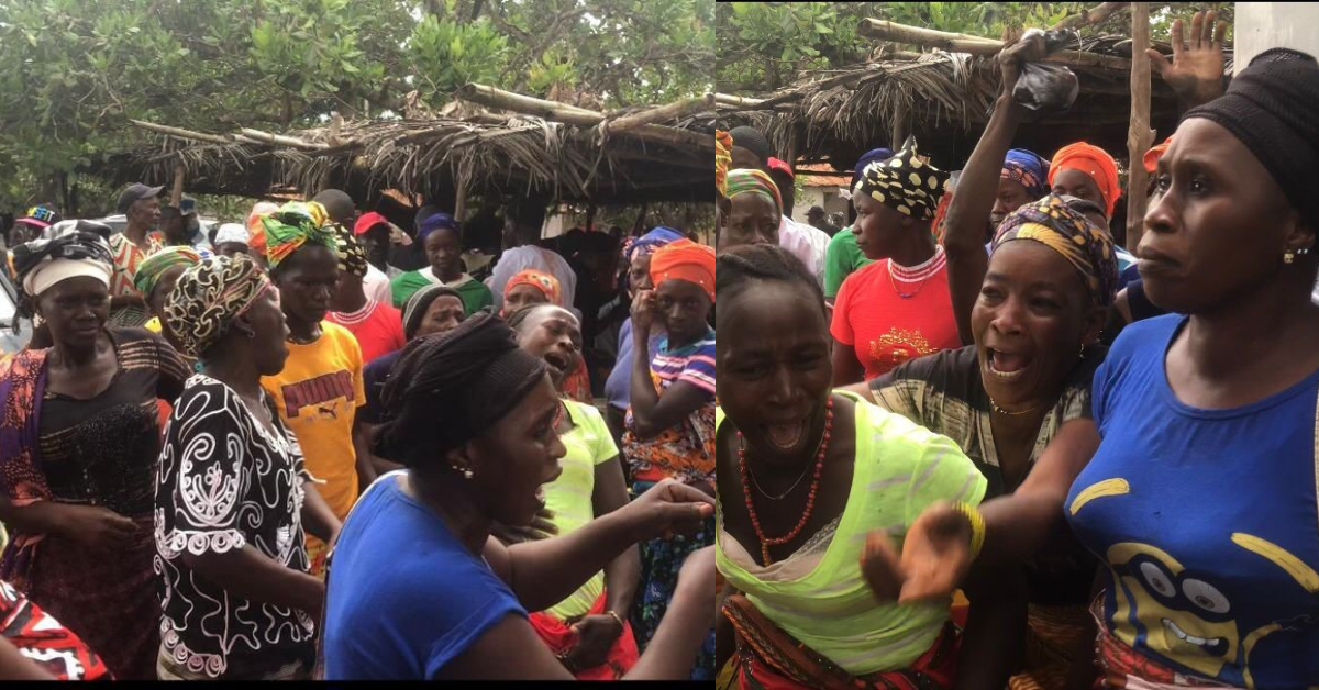 Women Farmers Protest Destruction of Rice Farms by Cattle Linked to Former Regent Chief