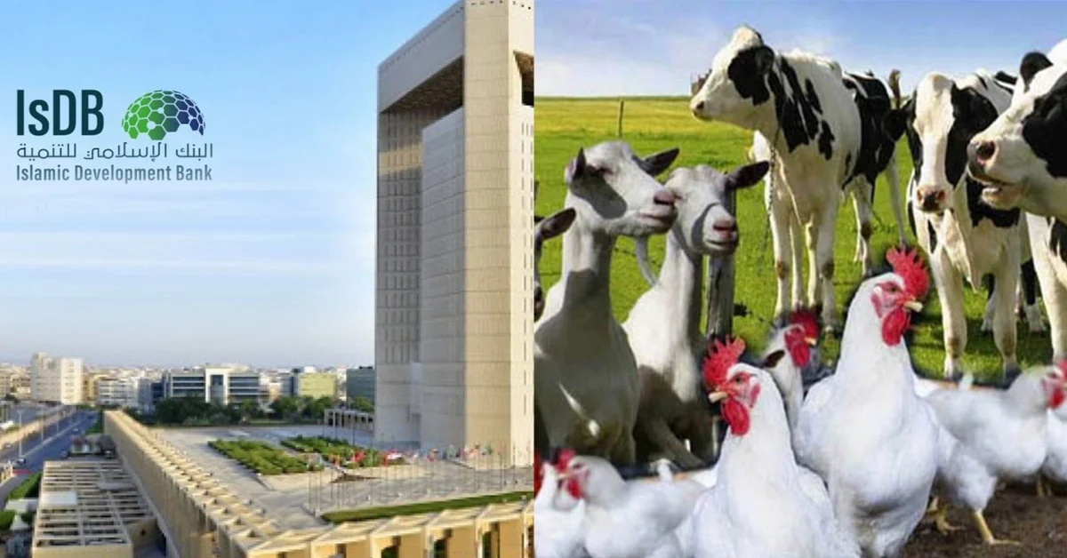 Islamic Development Bank to Support Feed Salone with $40M Livestock Project