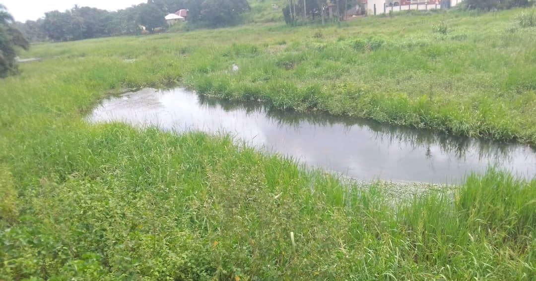 Farmers in Port Loko District Complain Excessive Rains, Other Challenges Hindering Their Jobs