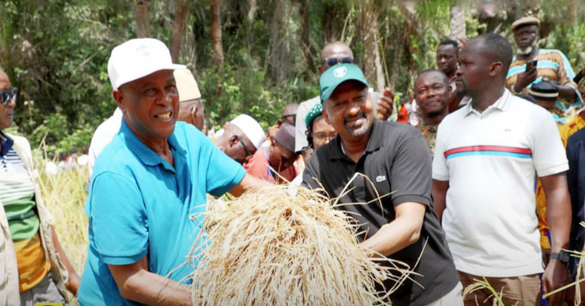 Vice President Dr. Mohamed Juldeh Jalloh Enjoys Bountiful Harvest