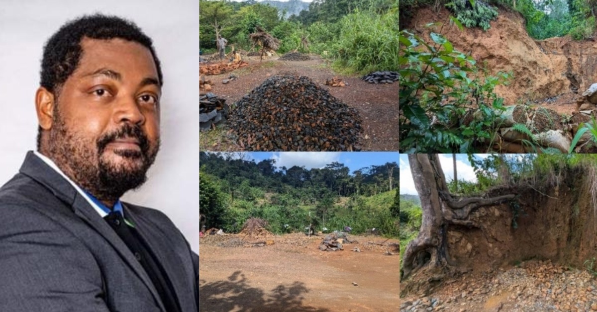 SLAJ Calls for Urgent Action to Protect Sierra Leone’s Environment and Biodiversity