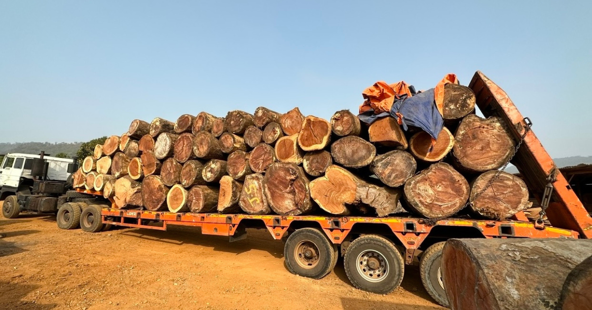 Timber Transportation Suspension Lifted