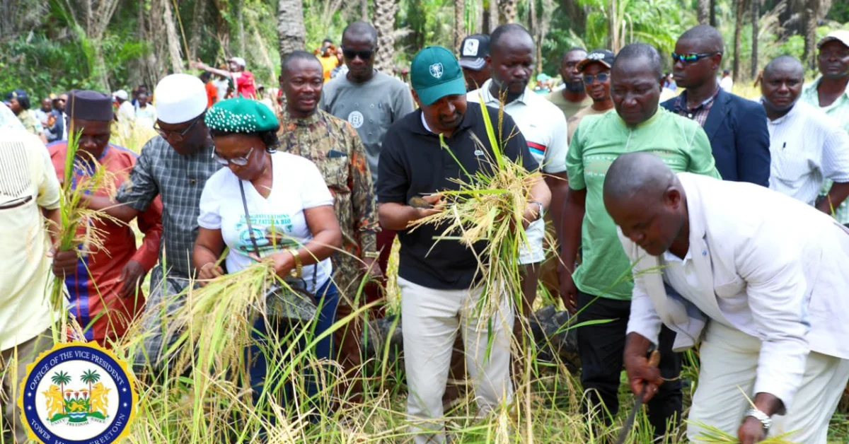 Vice President Highlights Progress in National Agriculture During Lokomasama Visit