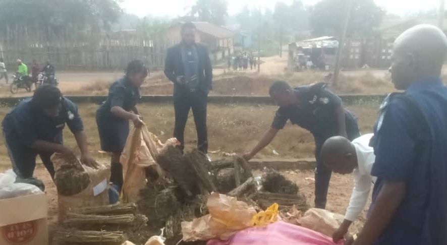 Large Kilograms of Jamba And Kush Burnt in Kenema