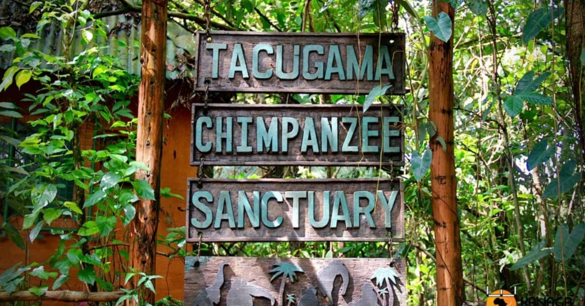 Government Launches Exercise to Reclaim Land within Tacugama Sanctuary Boundary